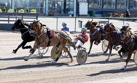 Ulkoa kirivä Nyland voitti kylmäveristen Kavioliigalähdön voittajakertoimella 12,15. Polara tuli keskellä laukalla maaliin. "Ehkä totosija saattoi mennä", Antti Tupamäki sanoi Polaran laukasta. Kuva: Anu Leppänen.