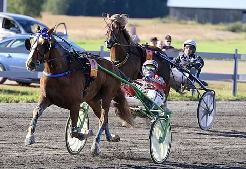 Hvalstad Odin (5) kiri Pertturin (4) takana Ruunaruhtinaan 2020 päätösmatkalla ja samalla kokonaiskilvassa kakkoseksi.