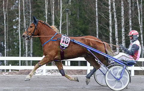 Iikka Nurmonen on toiminut Eeva Johanssonin ja Leo Mönttisen omistaman Pyörylän Paronin luotto-ohjastajana viime syksystä saakka.