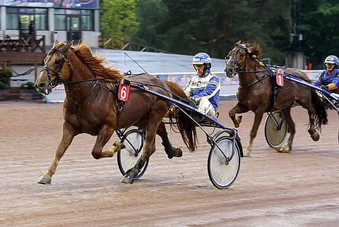 Sitkun tyylinäyte edellisestä voitosta Vermosta. Arkistokuva: Pekka Salonen.