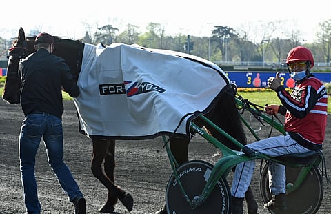 Whole Lotta Love ja Philippe Daugeard. Kuva: Gerard Forni