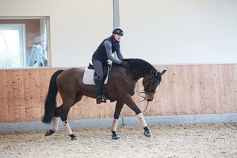 Matka Japaniin on alkanut.