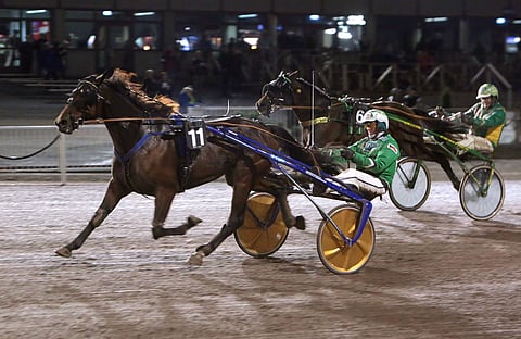 Reverend Dred tekee tasaisen hyvää työtä ja viihtyy totossa, mutta viimeisimmät voitot ovat syksyltä 2019 Vermosta.