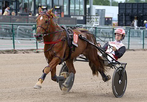 13-vuotias Vixen viipyi kahden viikon ajan klinikkahoidossa mystisen mahaoireilun vuoksi. Kilpakentät saavat odottaa tovin. Kuva: Anu Leppänen
