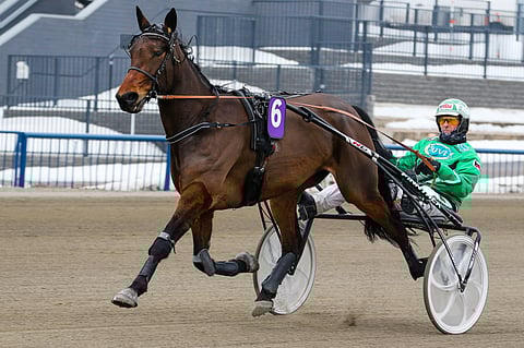 Wonder Womanin voittoaika Lappeen Toto5-kierroksella oli 14,5a ja voittajakerroin peräti 50,45. Arkistokuva: Anu Leppänen