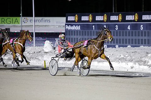 Sami Vehviläisen ohjastama Wonder Of You pystyy voittoon takarivistäkin.