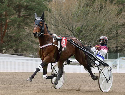 Janita Antti-Roiko tähtäsi hienon alkukauden juosseella Believerillä derbykarsintoihin.