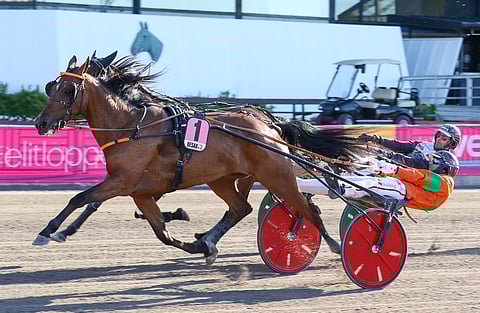 Billie de Montfort kurkottaa voittoon, Hevin Boko on kakkonen. Kuva: Anu Leppänen