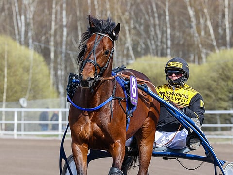 Heikki Korhosen tallilla työskentelevä Jukka Hakkarainen lämmitti Callela Lincolnin ennen viimeisintä Vermon kilpailua.