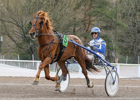 Katso video: Camri sai jo eläkejuhlat – ”Se on tämän alueen maskotti”