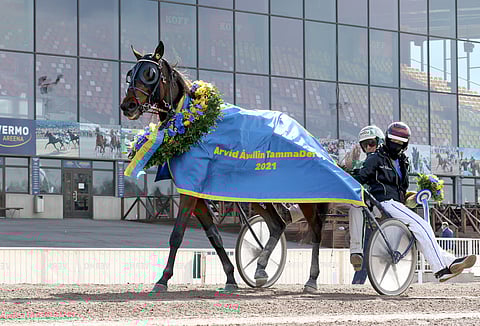 Chicharita voitti Arvid Åvallin Tammaderbyn.