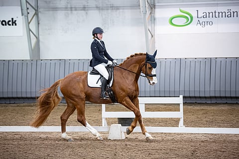 Coco Roine ja Kameo.