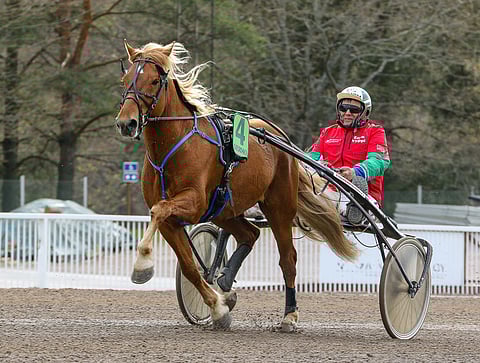 Enon Vilppi sai paikan kotiratansa Seinäjoen kuninkuuskilpailuun.