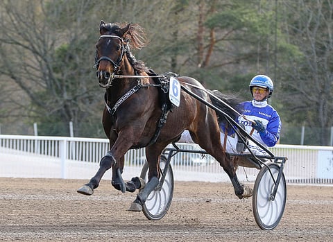 Finlandia-voittaja Hickothepooh oli Jarlsbergin paras. Kuva: Anu Leppänen