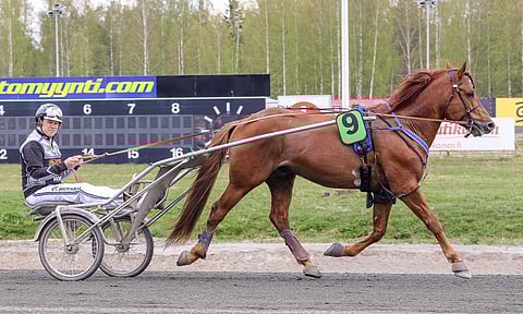 Viime viikonloppuna Kuopiossa valmentajansa Antti Ojanperän ohjastamana kisannut Jokivarren Kunkku palaa Elitkampeniin viiden vuoden jälkeen.