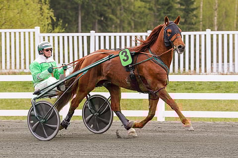 Lissun Eerikki alkaa olla kuntonsa puolesta valmis palaamaan radoille.