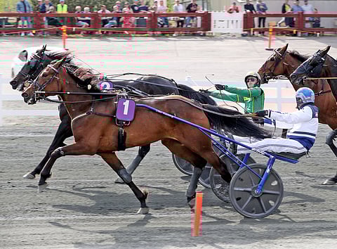 Mikä matsi! Magical Princess vs. An-Dorra. Maalissa oli näin tasaista. Kuva: Anu Leppänen.