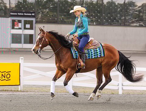 Maria Astikaisen Antarismartin on ratsastajan mukaan todellinen esiintyjä.