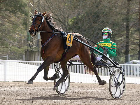 Jukka Torvisen ohjastama MAS For You nappasi toisen peräkkäisen voiton.