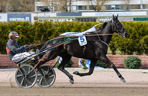 Milliondollarrhyme ja Fredrik B Larsson Vermossa.