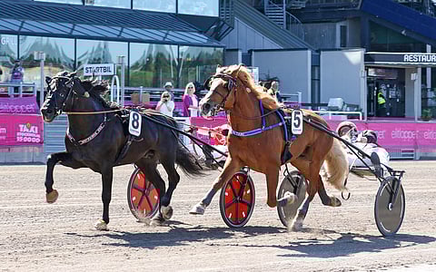 Odd Herakles ja H.V. Tuuri kamppailivat Elitkampenin voitosta. Kuva: Anu Leppänen