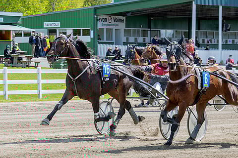 ” Pegasos Evo on paitsi ilmestyksenä hiivatin hieno, myös hirmu siivo ori”, Markus Kiiski kuvailee lauantain T75-sarjan voittajaa. Viimeisenä joutui taipumaan johtanut The Story (oik).