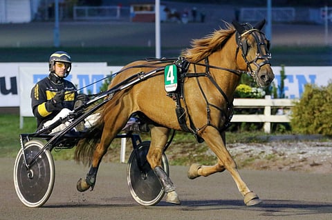Sunnuntaina kotiradallaan Jyväskylän Killerillä voittanut Vauhti Teppo oli nelivuotiaana mukana kriteriumfinaalissa Tero Lahtisen ohjastamana. Arkistokuva: Anu Leppänen