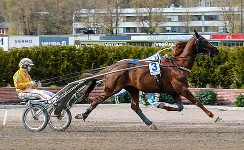 Vernissage Grif. Kuva: Anu Leppänen