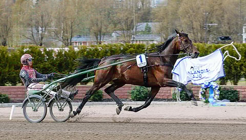 Zarenne Fas ei onnistunut hyödyntämään ykkösrataansa viime Finlandia-ajossa, mutta osoittautuikin lähdön jälkeen sairaaksi.