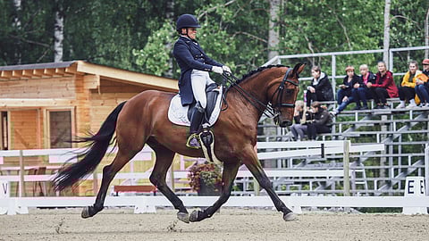 Auli Lamers ja Expreszo B viime vuoden Päijänne Dressage daysin PSG-luokassa.