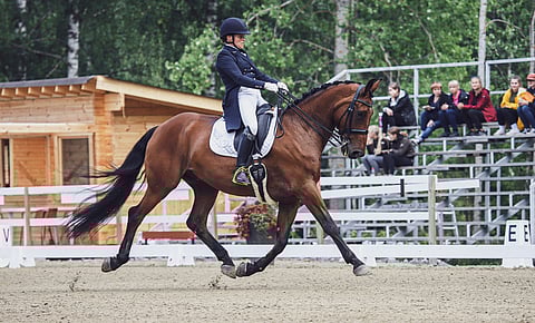 Auli Lamers ja Expreszo B viime vuoden Päijänne Dressage daysin PSG-luokassa.