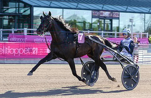 Aetos Kronos sai Elitloppetin finaaliin karsintanelosena hankalan lähtöradan 7 ja joutui tyytymään siinä 8. sijaan ajalla 09,6.