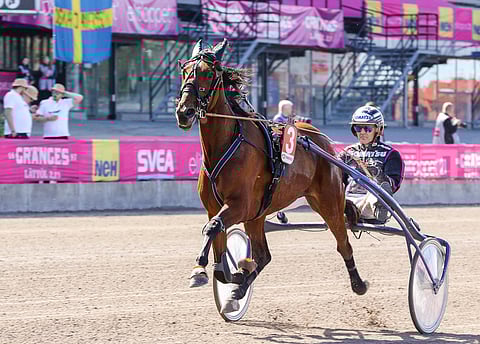 Ruotsissa uransa aloittanut Alien Hill on on tauon jälkeen esiintynyt kahdesti Suomen radoilla.