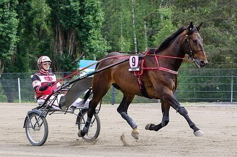 Grainfield Aidenilla on edessään 3-6 kuukauden kilpailutauko.