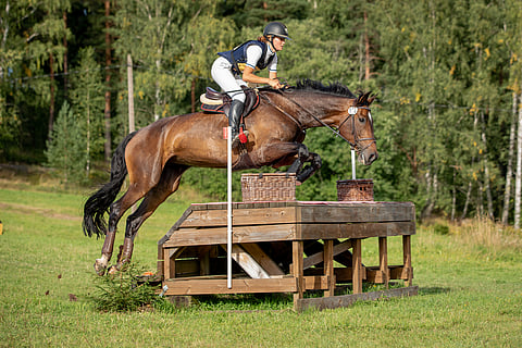 Lotta Lamberg vei Keravan kahden tähden kilpailun Come in Like a Rose -hevosellaan. Kuva viime kesältä.