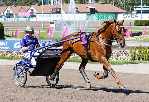 Moni Viking voitti Åby Stora Prisin vuonna 2020.