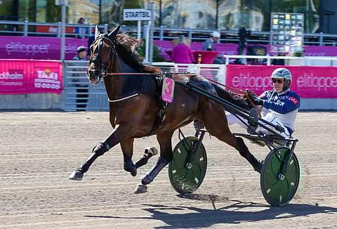Seismic Wave kilpaili viimeksi Solvallan Elitloppetissa ja jatkaa Euroopan huippuja vastaan Kymi GP:ssä.