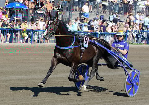 Björn Goop vieraili Short In Cashilla Kymi Grand Prix'ssä, mutta laukka pilasi tuolloin pelin.