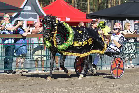 Nordic Kingin sankari Odd Herakles on Momarkenin pelipankki.