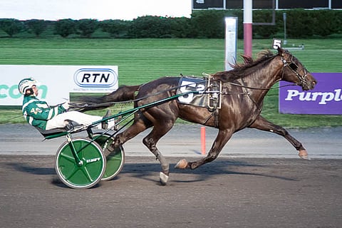 Yannick Gingrasin ajama 2-vuotias Global Pandemic aloitti voittokulkunsa raviareenoilla lauantaina.