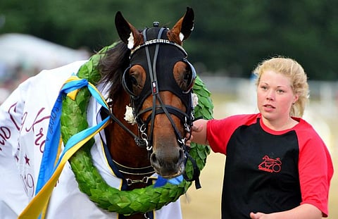 Maiju Petriläinen sai taluttaa Acciaion Breeders Coursen voittajaseremonioihin Jägersrossa vajaat kaksi vuotta sitten.