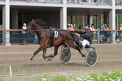 Voittovireinen Flirting on valinta idearivin varmaksi. Juhannusaattona tamma voitti Powerparkissa valmentajansa Mika Stenrothin ohjastamana.