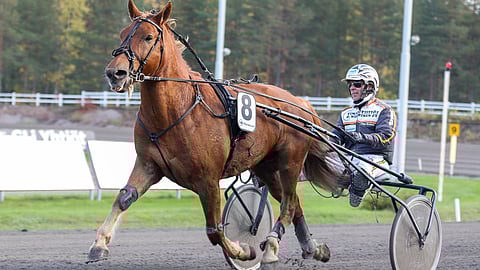 Helpompaan tehtävään päässyt Karlo nousee takaakin taistoon.