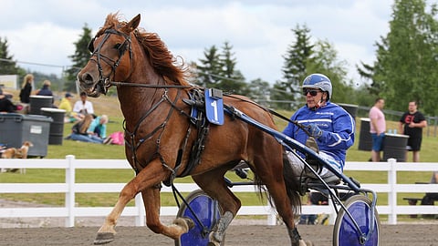 Korven Liideri oli Metsämäen yksi vakuuttavista voittajista.