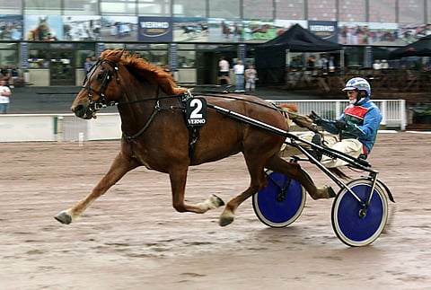 M.A. Piste ja Kari Rosimo ovat mainio parivaljakko. Viime vuonna 11-vuotias tamma tienasi 25 565 euroa. Torstaina tilipussi karttui 3000 eurolla.