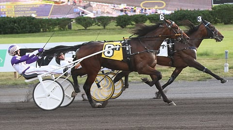 Melanderin Sonofamistery laukkasi perjantaina maaliin ja voitto meni numerolle 6 Locatelli.