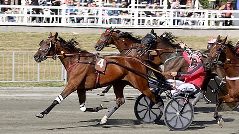 Risto Airaksinen tuuletti Anything For Youn rattailla toissa kesänä Joensuu-ajon voittoa.