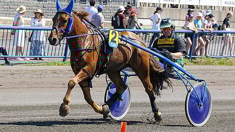 Kuvassa Ilkka Korven ohjastama Helmin Hermanni nappasi suursuosikkina odotetun voiton.