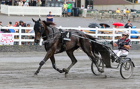 Kitzune G.G. yllätti ruotsalaiset T75-pelaajat pahanpäiväisesti. Peliprosentti oli vain 0,5:n luokkaa.