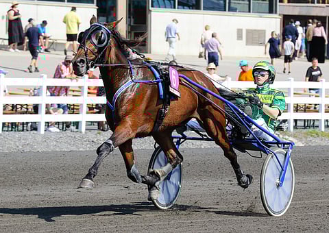 Peanuts ponnahtaa avauskohteessa ideavarmaksi. Kuva: Anu Leppänen